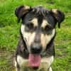 Fizz - sensibles Mädchen sucht dich