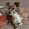 Matilda: kleiner Sonnenschein sucht DICH