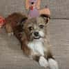 Matilda: kleiner Sonnenschein sucht DICH