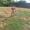 LIBY