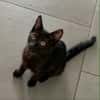 BLACKY