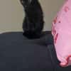 BLACKY