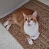 Wanja sucht dich