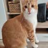 Wanja sucht dich