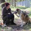 Buffy su. erfahrene Besitzer