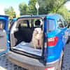 herzliche Jule auf PS in 72768 Reutlingen