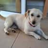 Nelly - super lieb und freundlich