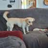 Nelly - super lieb und freundlich