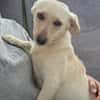 Nelly - super lieb und freundlich