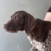 Leonore