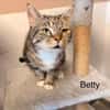 BETTY