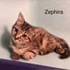 Zephira