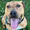 RIO