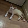 Bill