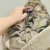 Catimini