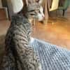 OLYMPE