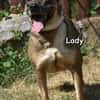 LADY