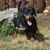 FIONO