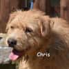 CHRIS