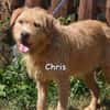 CHRIS
