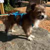 Matilda: kleiner Sonnenschein sucht DICH
