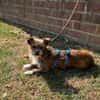 Matilda: kleiner Sonnenschein sucht DICH