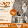GRINGO