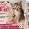 BALI réservée