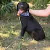 Jasper -Kleiner Entdecker sucht liebevolles Zuhause!