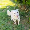 Kokonimix Theo sucht Zuhause