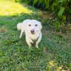 Kokonimix Theo sucht Zuhause