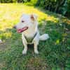 Kokonimix Theo sucht Zuhause