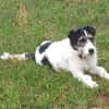 Sanfte Nele🌺 sucht liebevolles Zuhause
