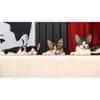 4 Kitten - warten in 97993 Creglingen