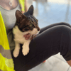 Tiny