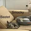 SMOCKY et BASTET