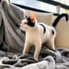 ERENE, chaton femelle type européen