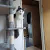 Traumhafte Fraya sucht Traumzuhause