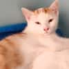 TIM