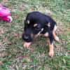 SANNA