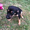 SANNA