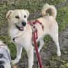 SOFY * freudig hopsend ab ins Herz