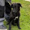 Petra sucht Familienanschluss