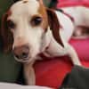 Fio ist bereit die Welt zu erkunden