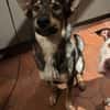 Elsa sucht ihr zu Hause