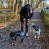 Elian - Toller Herzenshund sucht Zuhause