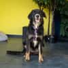 Unsere liebe Elmina sucht ein Zuhause
