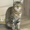 Seniorin IDA sucht Zuhause