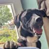 Charlene sucht ein Zuhause