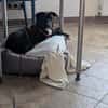 Charlene sucht ein Zuhause